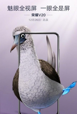 Honor изящно обыграла дырявый экран смартфона Honor View 20 при помощи...экзотических птиц